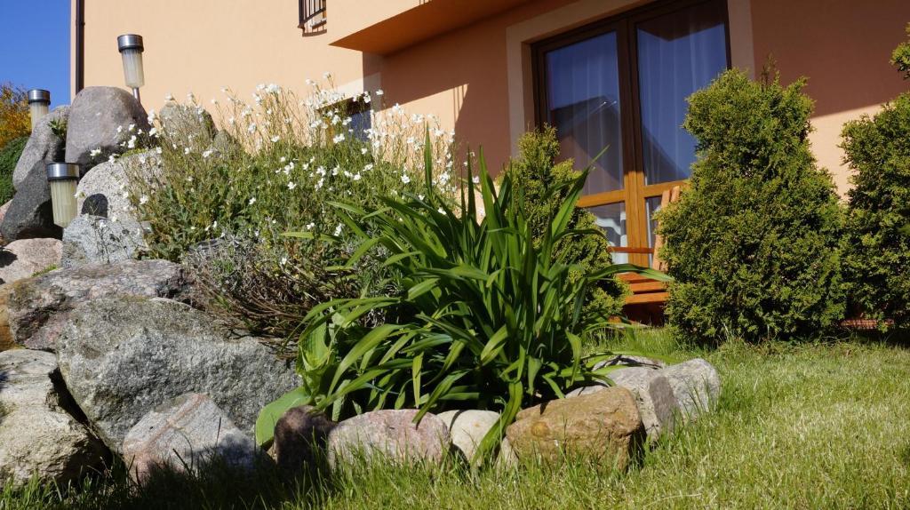 Bed & Breakfast Elzbieta